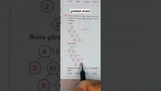 8.Sınıf Çarpan Ağacı🎈 #ilkokul #kpss #maths #zekasoruları #matematik #sorucevap #lgs2023 #soruçözümü