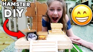 Hamsters Climbing Fort! 3 Hamster DIY's