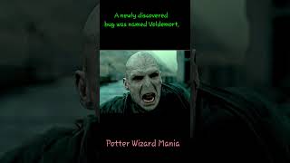 Newly Discovered Bug Named Voldemort!