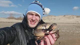 Большой Краб у Моря. Анапа. Зима 🦀🌊😀😊