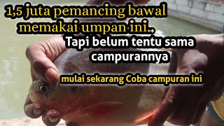 "Campurannya saja yang berbeda"1,5 jt lebih pemancing bawal memakai umpan ini,