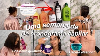 Uma semana de cronograma capilar para cabelo muito danificados 🙌🏻💗✨