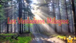 Los verdaderos milagros, Pensamientos y reflexiones de la vida, Reflexiones para ti y para mi