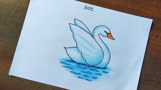 Swan Drawing - Naman Art School