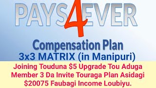 Pays4Ever 3x3 Matrix|Compensation Plan in Manipuri|Pays4Ever gi Complete Bussiness plan