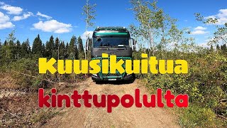 kuusikuitua kinttupolulta