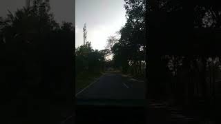 pollachi to valparai road