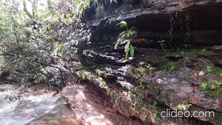 Sequências de sons e imagens da natureza em Cristalina - GO