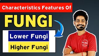 General Characteristics of Kingdom Fungi - Lower Fungi And Higher Fungi