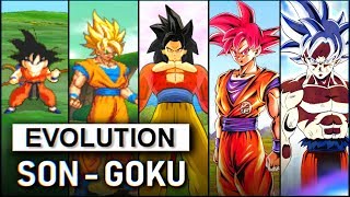 Goku - Evolution 1993-2019 【孫悟空 ドラゴンボール】