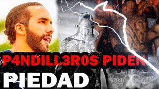 Ultimas Noticias de hoy 9 septiembre, El Salvador 9 de septiembre 2023,Noticias Nayib Bukele HOY