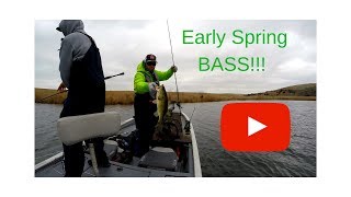 We Found an Awesome Early Spring Bass Pattern!!!