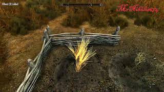 Skyrim AE PC with Mods