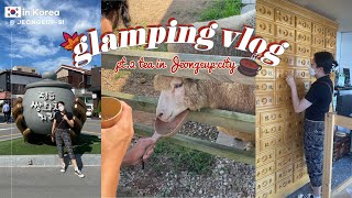 KOREA VLOG (EN)ㅣGlamping VLOG pt.2🏕️ (breakfast, feeding sheep🐑, visiting Ssanghwacha tea street🌰🫖)