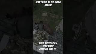 Brawling with bears at Brena Barns #shorts, #dayz, #dayzstandalone