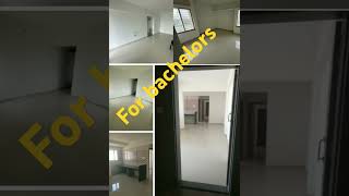 2bhk flat on rent in Wakad for bachelors,