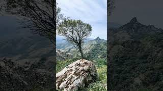 Vista dal Monte Maiori di Guspini #shorts  #trekking #viral