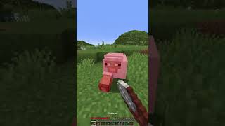 This Cursed Minecraft Video Will Make You Cry #shorts