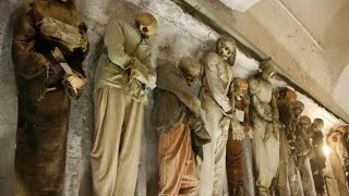 Crypts, Pets, and Marionettes: Palermo