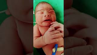 just now born baby #cute♥️baby 💕 beautiful ❤️#trendingshorts