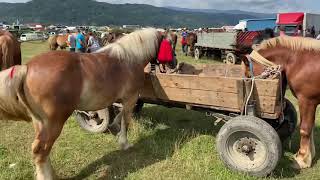 Targ de cai Sighetu-Marmatiei,Maramures#2021