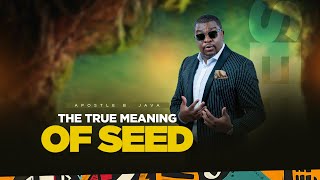 SUNDAY (MORNING) SERVICE: THE TRUE MEANING OF SEED