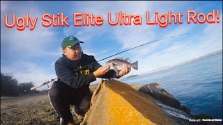 Ugly Stik Elite Ultra Light Rod Against Saltwater Rock Fishes!