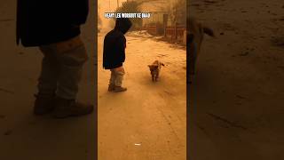 Cute Little Boy Dance With Dog On Tak Tadin Tak Tak Viral Video|Tak Takdhin Tak Tak Viral Reel Video