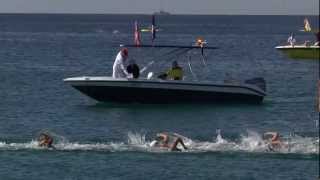 open water swimming - world cup Eilat 2013