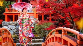 МОМИДЗИ-ЯПОНСКИЙ ПРАЗДНИК ЛЮБОВАНИЯ АЛЫМИ КЛЁНАМИ🇯🇵Momiji-Japanese Scarlet Maple Festival🍁❤️🍁