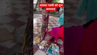 आंवला नवमी की शुभकामनाएं।।#viralvideo