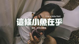 王OK/洪佩瑜 - 這條小魚在乎（I'm a little fish）『我懂得你啊 你已經足夠堅強，偶爾小緊張 但還好沒有投降。』【動態歌詞MV】