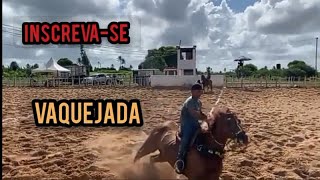 VAQUEJADA / CAVALOS CAROS R$ /BOI BRAVO COMPETIÇÃO