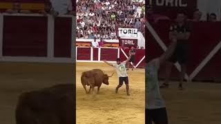 QUIEBRO A ESTA GRAN VACA DE ARRIAZU!! #toros #shrots #torospopulares