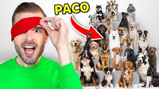 30 Honden, Maar 1 Daarvan Is Paco!