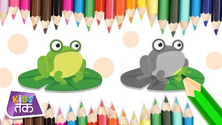 How To Color a Frog | Learn with Fun | Kids Tak