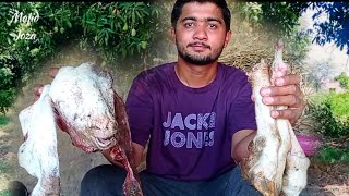 Full Bakra Siri Paye Recipe For Bakra Eid Ul Adha/Azha Cow Qurbani 2022 | Majid Joza