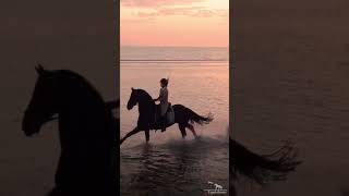 Girl Crazy Riding Horse in beautiful Evening