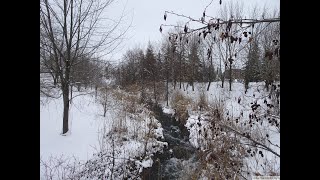 Winter stream.