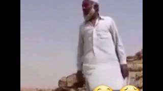 حسن زميره انت ابليس انت كلب انت شيطان😅