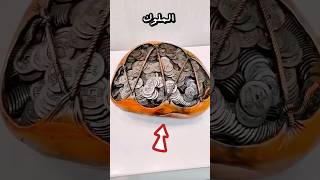 أشياء غريبة لن تصدق بوجودها #shortvideo