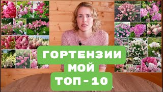 Метельчатые ГОРТЕНЗИИ / ТОП-10 ЛУЧШИХ СОРТОВ