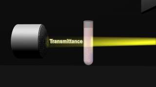 How does a spectrophotometer work