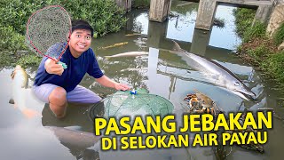 PASANG JEBAKAN DI SELOKAN AIR PAYAU! IKAN ANEH APA YANG AKAN MASUK KE PERANGKAP INI?!