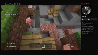 Minecraft 46