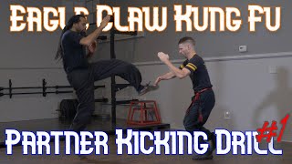 Eagle Claw Kung Fu Ying Jow Pai Front Kick and Jump Front Kick Partner Kick #1