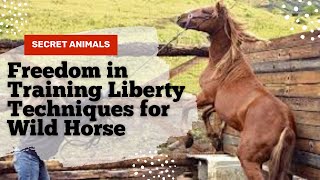 Freedom in Training Liberty Techniques for Wild Horse Communication @secret_animals