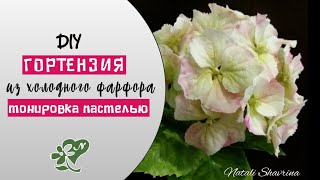 И так тоже можно! тонировка вау и легко! Шикарный результат!