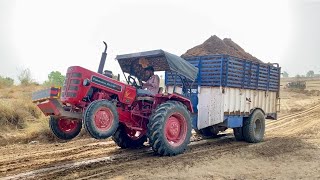 Mahindra 265 Di Xp Plus tractor special edition full loaded trolley video | Raju ki Masti