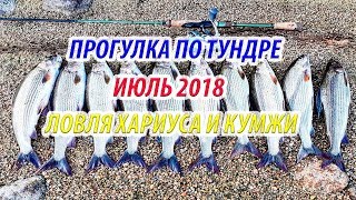 РЫБАЛКА В АРКТИЧЕСКОЙ ТУНДРЕ. Азартный клев кумжи и хариуса. Рыбалка на Кольском полуострове.